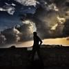 brian_duong